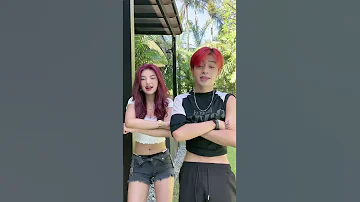Thehouseofcollab 