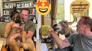Funny Celebrity Pets 🐶 Part 7: Arnold Schwarzenegger's favorite pets