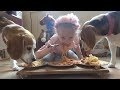 Spaghetti Eating Competition with Cute Beagle Dogs