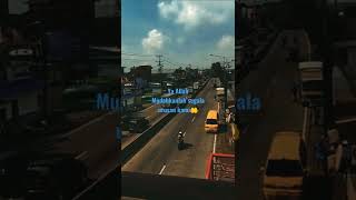 Download Lagu Video story wa 15 detik sholawat jibril MP3