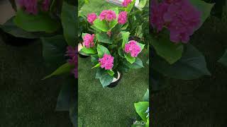 Narxi 350Min Som 998770038338