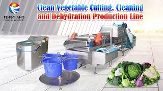 Automatic Vegetable & Fruit Cutting Washing Production Line, Salad Vegetable Processing Machine.