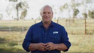 How to Administer MultiBoost™ with B12 For Beef and Dairy Cattle