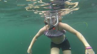 Katiebug Snorkeling The La Jolla Cove
