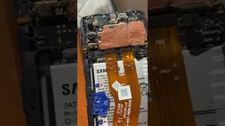 Infestação de formigas no celular