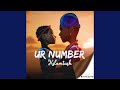 Ur number