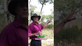 Oak Trees How They Survive Fires In High Park Amazing shorts