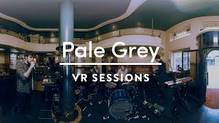 Pale Grey - Blizzard (Live 360°) by VR Sessions