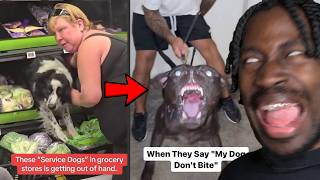 The Dog FATIGUE Epidemic Is INSANE...