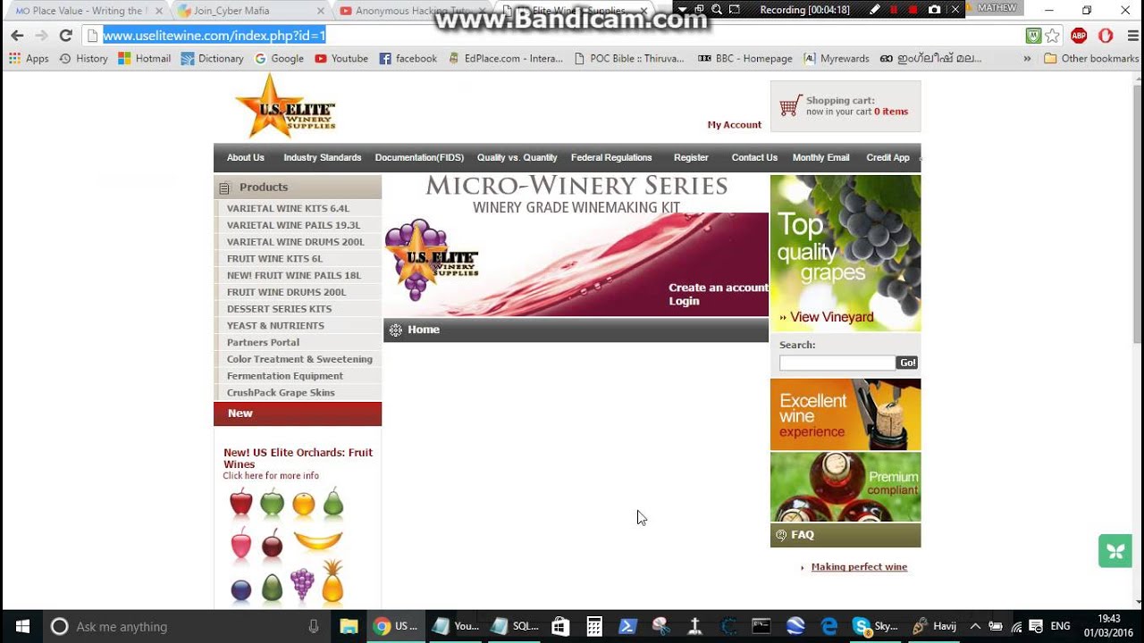 How to hack a website with SQL injection 