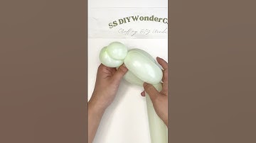 How to Make a Balloon Parrot with Just One Balloon in 60 Seconds! #diy #balloonanimals #balloon