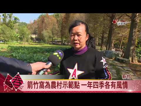 新埔箭竹窩生態豐富 年節探訪祕境【客家新聞20180218】