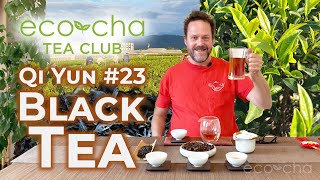 Eco-Cha Tea Club: 98 - Qi Yun #23 Black Tea | Eco-Cha Teas
