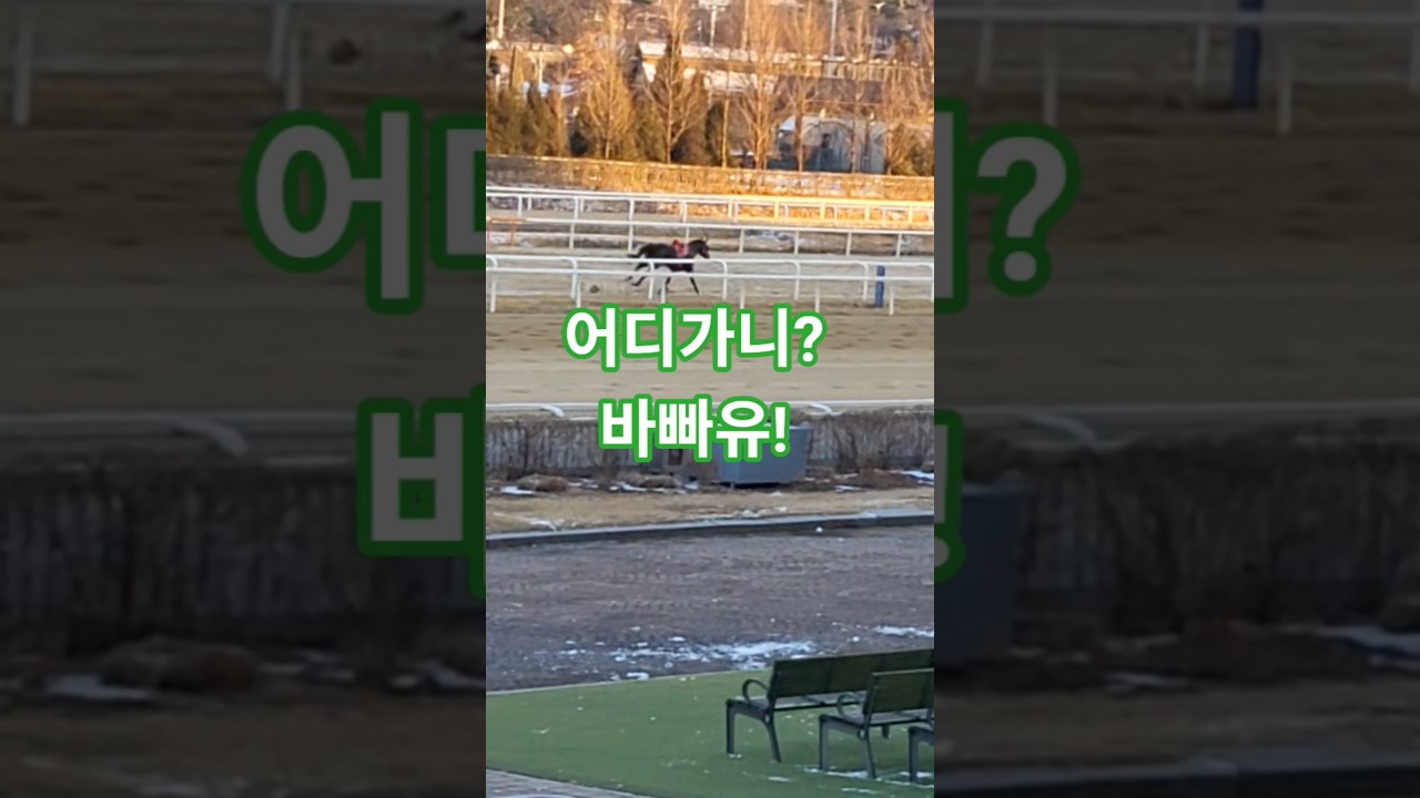 #급하게 어디가니?#경마 #말#달려라말 #shrots #horse