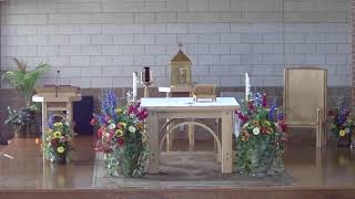 Daily Mass, July 8, 2026