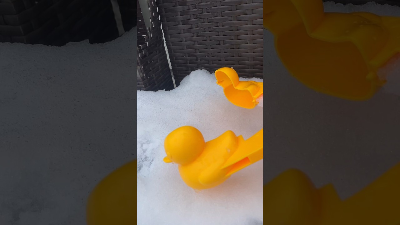 Cute Snow Duck😍 