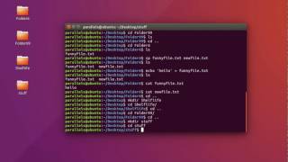 Celebrity Learn Linux Today Wealth