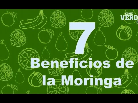 moringa,moringa oleifera,moringa beneficios,cha de moringa,moringa planta,moringa oleifera beneficios,beneficios da moringa,moringa para que serve,arvore da vida,folhas de moringa,moringa oleifera arvore,moringa planta medicinal,o que é moringa