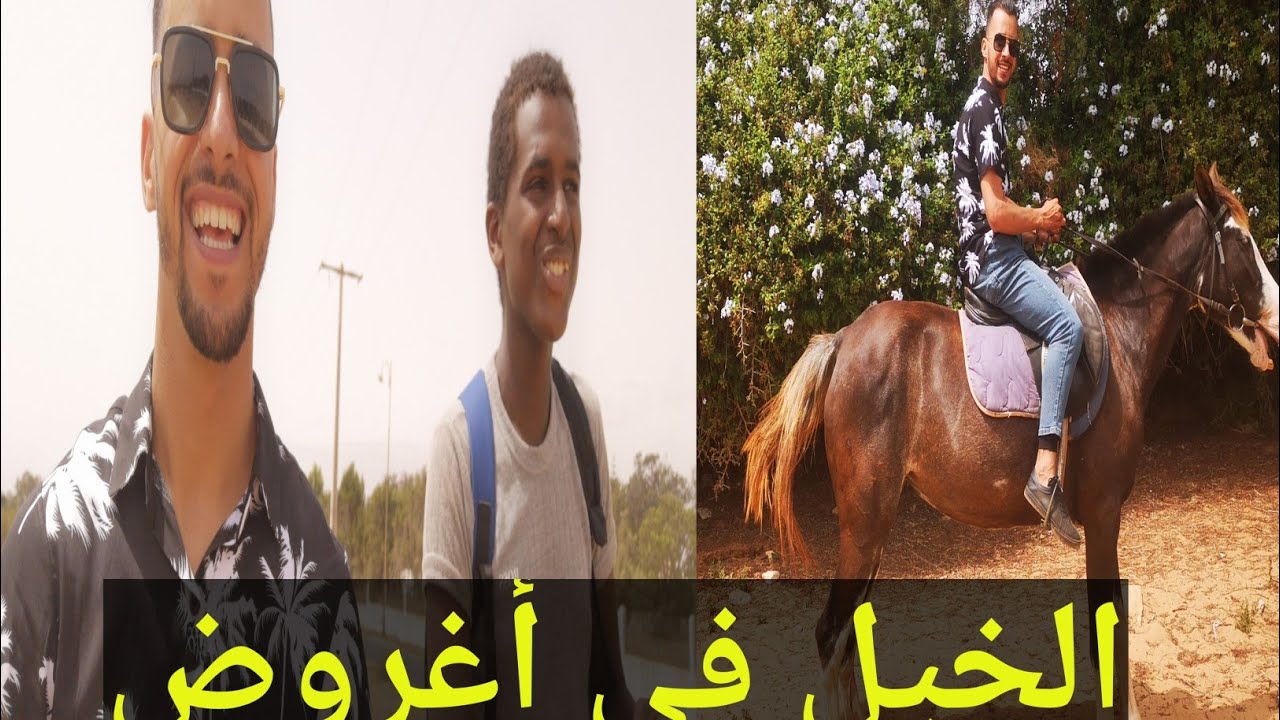 جولة في أغروض بنسركاو وركوب الخيل