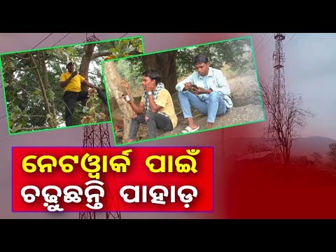 ମୋବାଇଲରେ କଥା ହେବା ପାଇଁ ମଣିଷ ଚଢ଼ୁଛି ବଡ଼ ବଡ଼ ଗଛ ଓ ପାହାଡ, ଜୀବନ ପ୍ରତି ରହୁଛି ବିପଦ