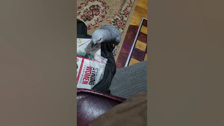 #merveleemyers #endhmctsmisogyny @rastafaribirdlegs8866 #philosophy of BRAINS @HMCTSgovuk