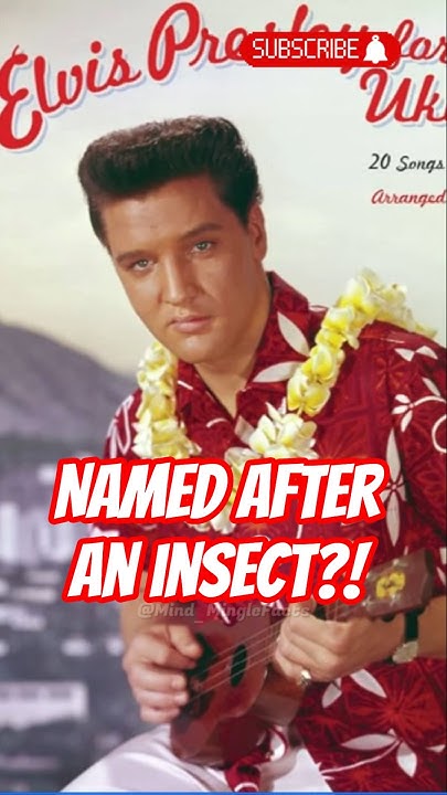  How A Tiny Guitar Changed The World Forever | Ukelele History #facts # ...