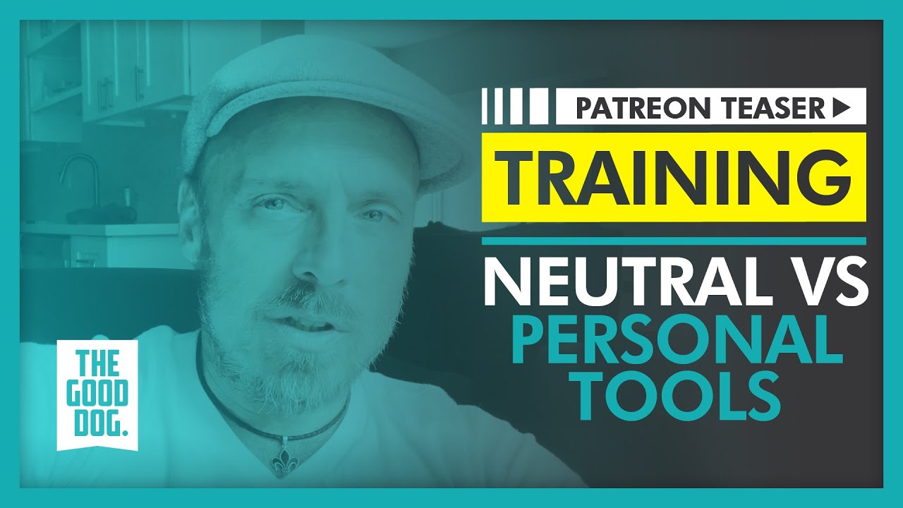 Neutral vs Personal Tools Patreon Teaser The Good Dog Training