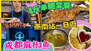 深圳一日遊｜燕南站｜九眼橋麻椒魚成都火鍋 ｜蓮塘口岸附近餐廳｜酷秀ktv｜大汗燒烤•碳烤羊腿｜深圳KTV｜深圳羊肉｜專人燒烤｜試食專區｜2024 深圳餐廳北上搵食｜星星帶團