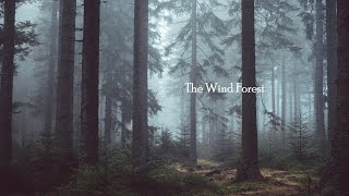 바람의 숲｜The Wind Forest