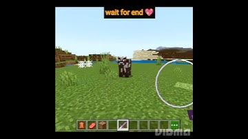 I have shulker sword in Minecraft