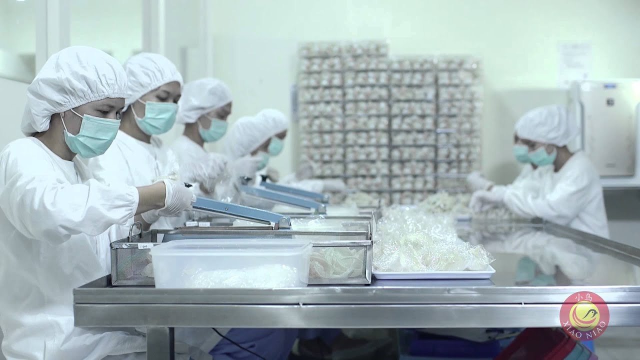 小鸟燕窝的公司简介  - 制作品质最好的燕窝