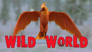 :     , ! WildCraft  