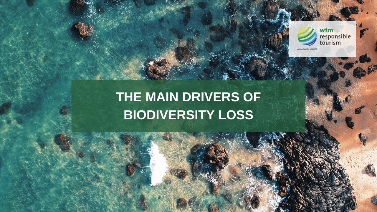 What Are The Major Drivers Of Biodiversity Loss What Are The Major Drivers Of Biodiversity Loss