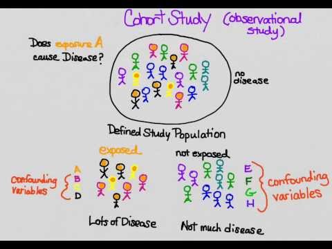 Video: Studiile de cohortă folosesc randomizarea?