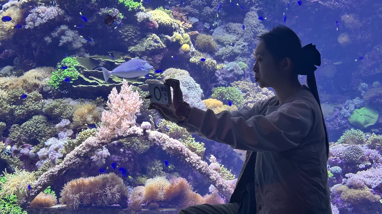 珠海长隆Day1，住飞船酒店，游飞船乐园