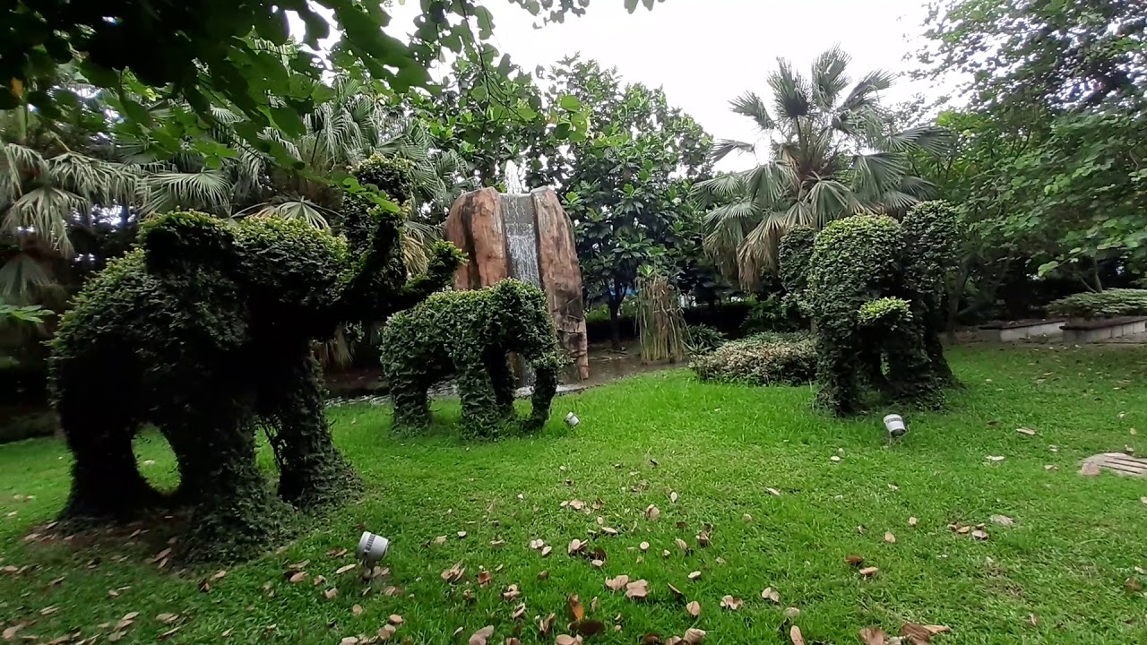  Taman  asri di  tengah  pabrik gajah tunggal YouTube