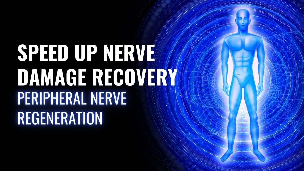 Enhance Movement And Sensation | Speed Up Nerve Damage Recovery | Peripheral Nerve Regeneration