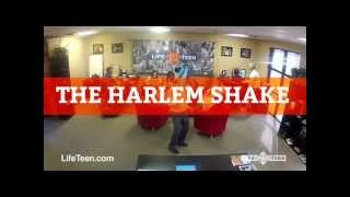 Harlem Shake CIC
