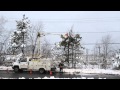 Nb power crews trimming trees  les quipes dlagage darbres dnergie nb