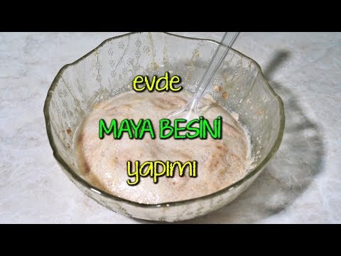 Evde Maya Besini Hazırlama