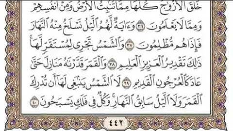سورة يس Surat Yasin Surah  الشيخ إدريس ماكن عبدالرحمن 36