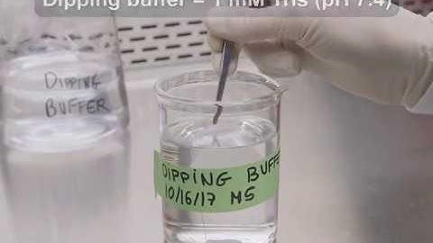 Epitope Discovery with PEPperCHIP® Peptide Microarrays