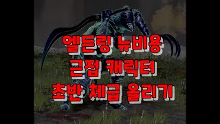엘든링 뉴비용 근접캐릭터 초반 체급 올리기