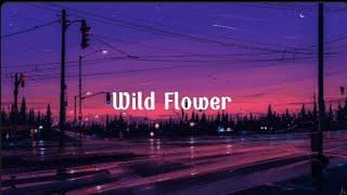 Wild Flower - RM [ music video lyrics]