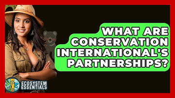 What Are Conservation International