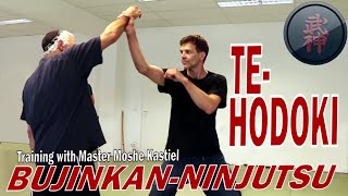 Bujinkan-Ninjutsu: Te Hodoki: Befreien der schlagenden Hand mit Meister Moshe Kastiel