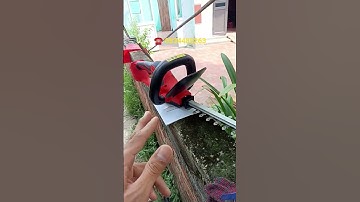 Máy cắt tỉa cây cảnh