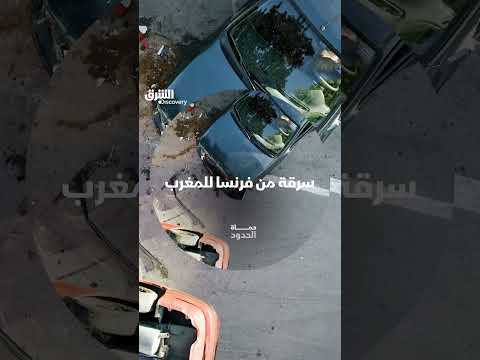 كشف شبكة لسرقة السيارات ونقلها عبر الموانئ