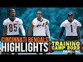 Highlights of Ja’Marr Chase, Tyler Boyd, Joe Mixon and Others | Bengals Training Camp