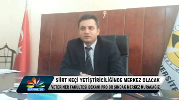 4 SİİRT KEÇİ YETİŞTİRİCİLİĞİNDE MERKEZ OLACAK